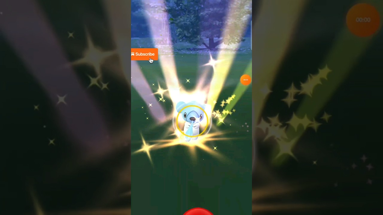 I Caught Wild Pokemon Cubchoo In Pokemon Go 