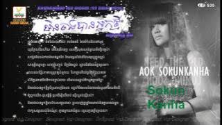 Aok Sokun Kanha New Songs 2015 ► Min Jong Ban Neak Thmey ( RHM CD VOL 535