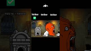 (part .3) Tower VS Manic Mohawk cat