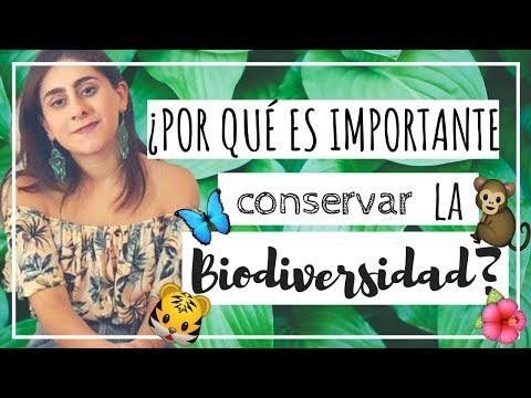 Video: Por Qué Es Necesario Proteger La Biodiversidad