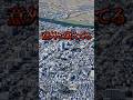 意外と栄えてる地方都市4