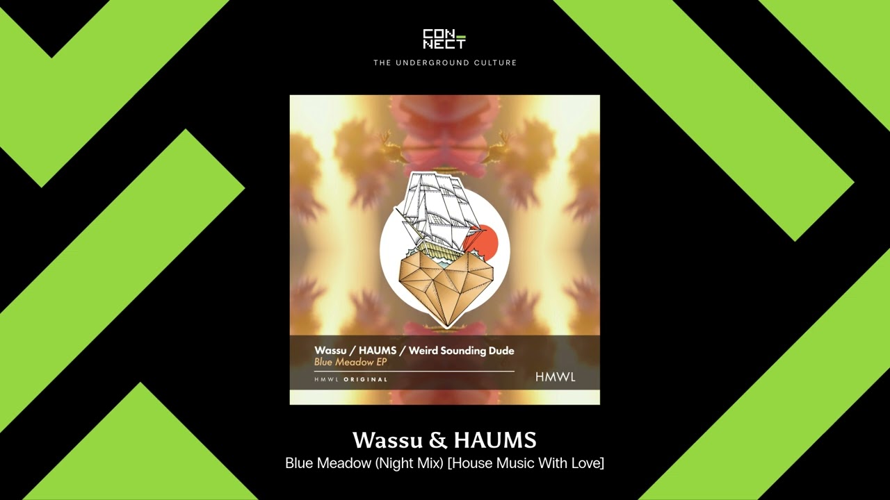 PREMIERE: Wassu & HAUMS - Blue Meadow (Night Mix) [House Music With Love]