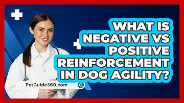 What Is Negative Vs Positive Reinforcement In Dog Agility? - PetGuide360.com
