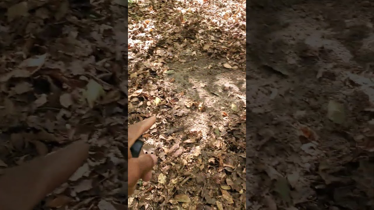 How To Hunt Early Season Scrapes! 