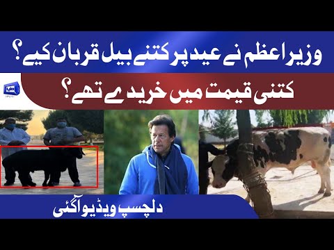 PM Imran Khan on Eid ul Azha 2021 in Bani Gala