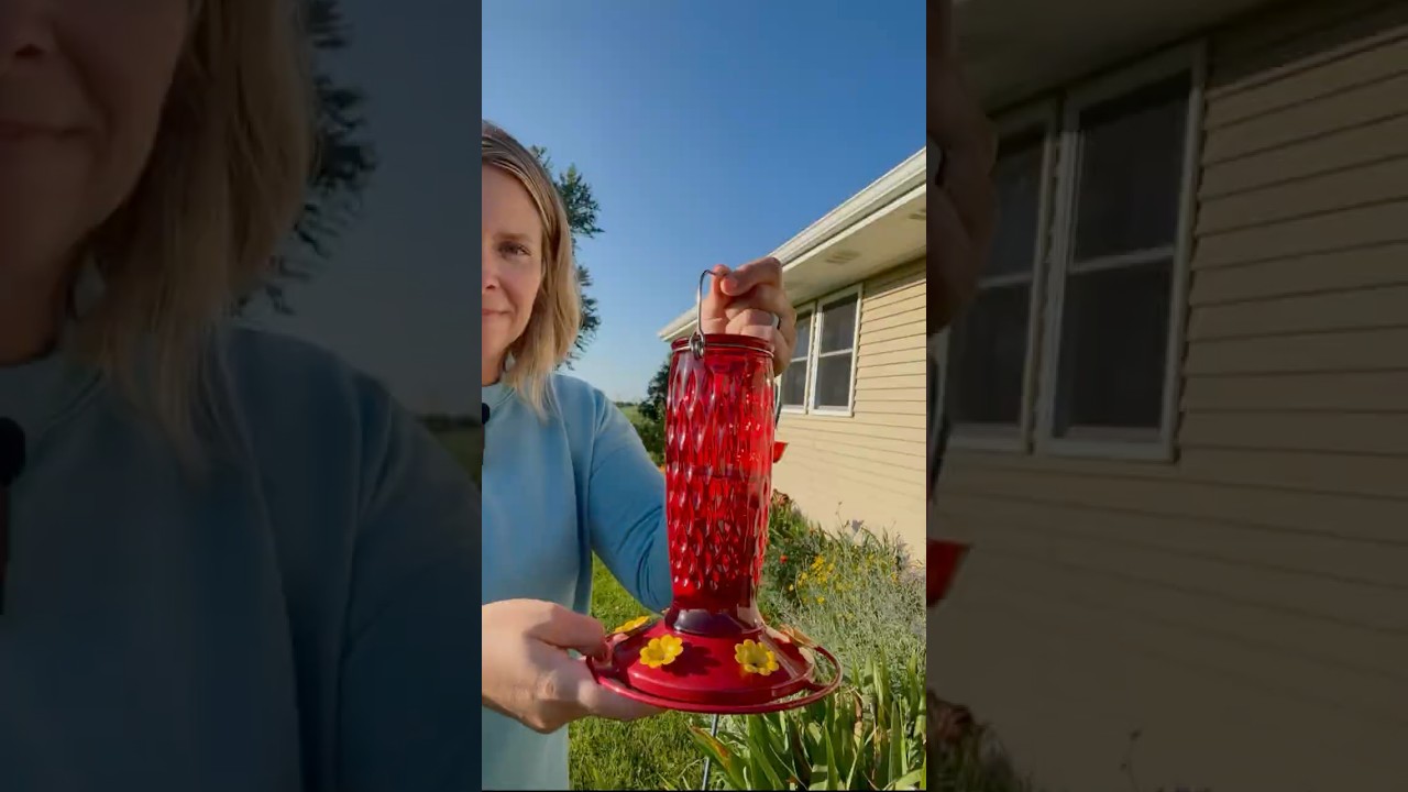 My new hummingbird feeder from Kingsyard! #gardening #kingsyard #hummingbird #hummingbirdfeeder
