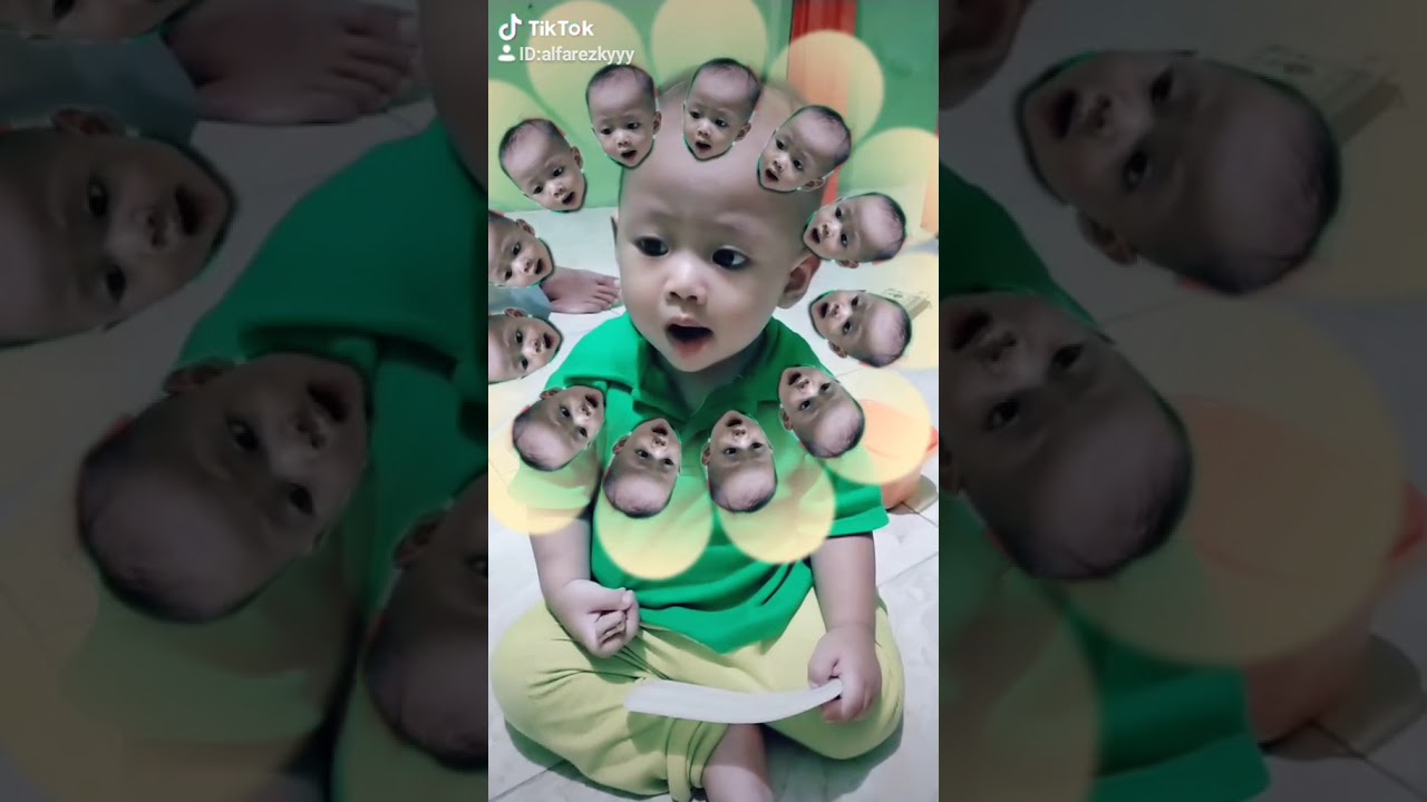 Baby shark bayi lucu tik tok YouTube