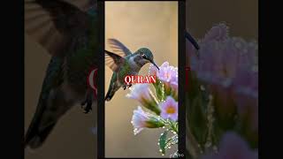 Beautiful Quran urdu translation heart touching zaroor suniye #motivation #quran #islam