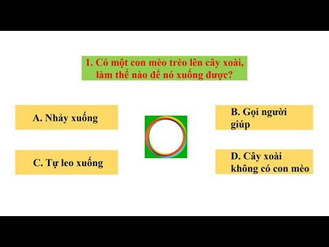 Những câu đố vui cho học sinh tiểu học hay nhất có đáp án - youtube