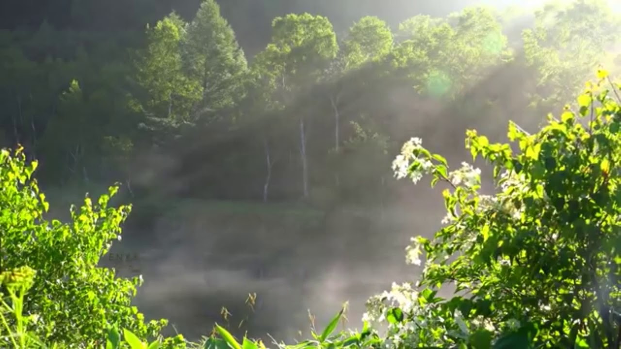 Shinnobu   After Healing Radio Edit 2020