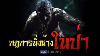 กฎการนั่งห้างในป่า (จบในตอน) | ล้อมวง เล่าเรื่องผี Ep.1064