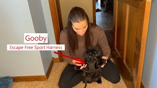 Gooby Comfort Dog Harness - Secure, Adjustable, Easy Fit #GoobyHarness, #PetComfort, #dogsafety
