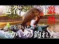 【埼玉バス釣りポイント】越谷の激熱用水路を浮いたらハンパなかった！【バス釣りポイント】