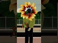 AMKK Story of Flowers 2