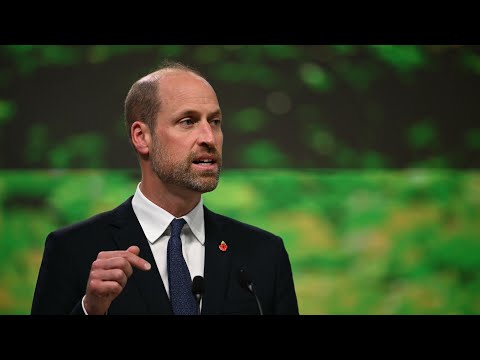 ‘Give us a break’: Prince William addresses COP30 climate summit in Brazil