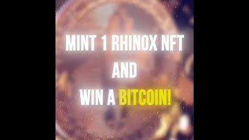 RHINOX NFT by KWARXS - Every NFT is a Raffle Ticket! #cardano #nft #kwarxs