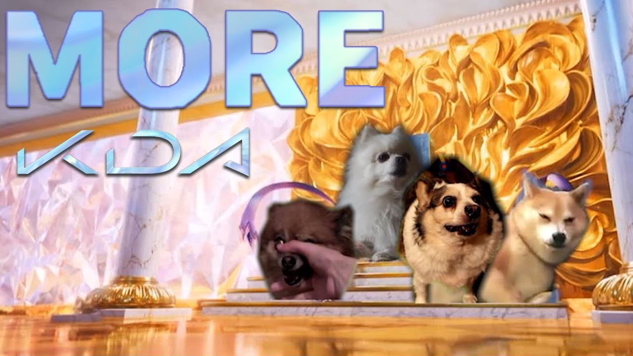 K/DA - MORE 강아지 리믹스 (Dog cover)