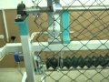 Станок для производства сетки "Рабица" автомат/Chain link fence machine