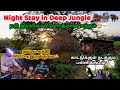        tribalvillage nightstay junglestay