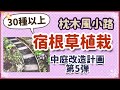 《大量!?宿根草植栽／枕木風小路》シェードガーデン向き植栽多め～ひなた向き植栽まで／5月に植える宿根草／ダメ庭お庭改造／中庭改造計画第5弾