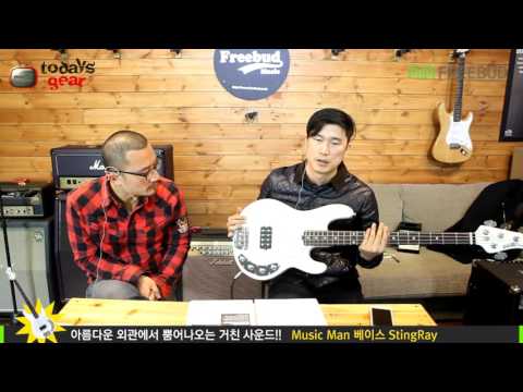 Todaysgear Music Man StingRay