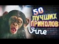 Самые Лучшие Приколы Vine! (ВЫПУСК 137) Лучшие Вайны