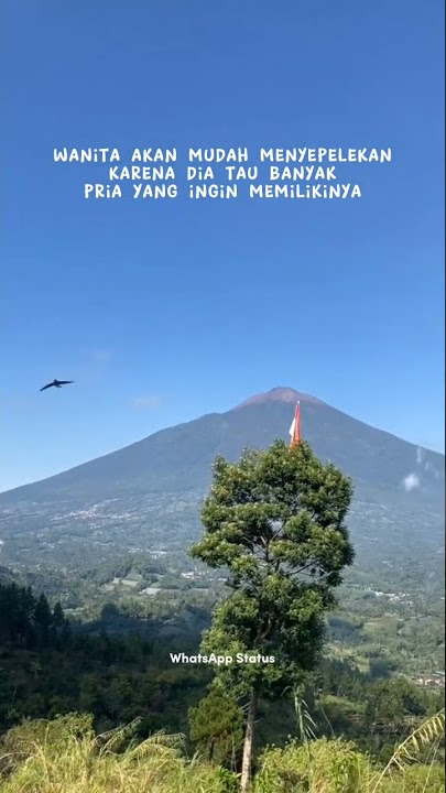 Story'Wa 30 Detik