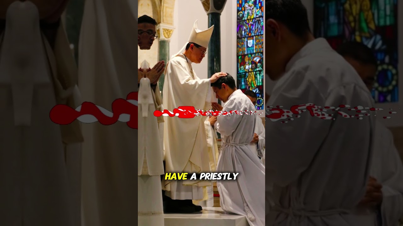 New York Launches Vocation Drive | Cardinal Dolan Invites Future Priests