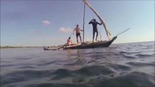 Msambweni Beach House   Activities 480p
