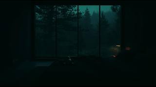 Forest Rain and Dreamy Night Views 🌲 | Deep Sleep Sounds for Restful Nights