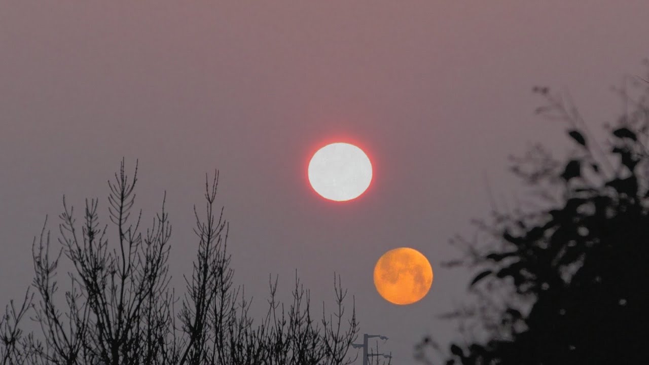 Vedere la Luna di mattina mentre sorge il sole 17-01-2022