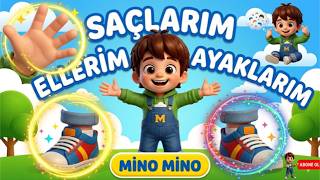SAÇLARIM ELLERİM AYAKLARIM | Mino Mino | Çocuk Şarkıları