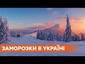 Похолодание и заморозки в Украине. В Карпатах температура упала до -2 градусов