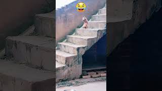 Dogs Failing Gloriously 😂 Sliding, Bumping & Derping