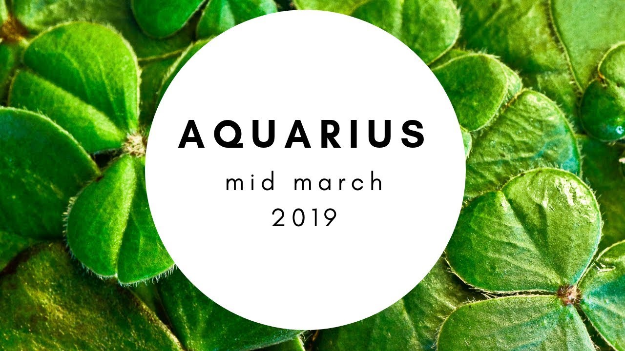 A wish granted AQUARIUS Mid March 2019