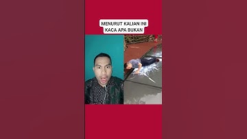 LANTAI KACA PECAH ‼️#shorts #viral