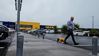 To Champagne for IKEA?