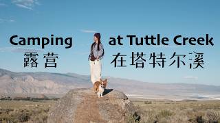 Camping at Tuttle Creek Campground, Lone Pine CA