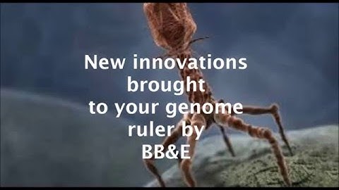 Bioinformatics Project