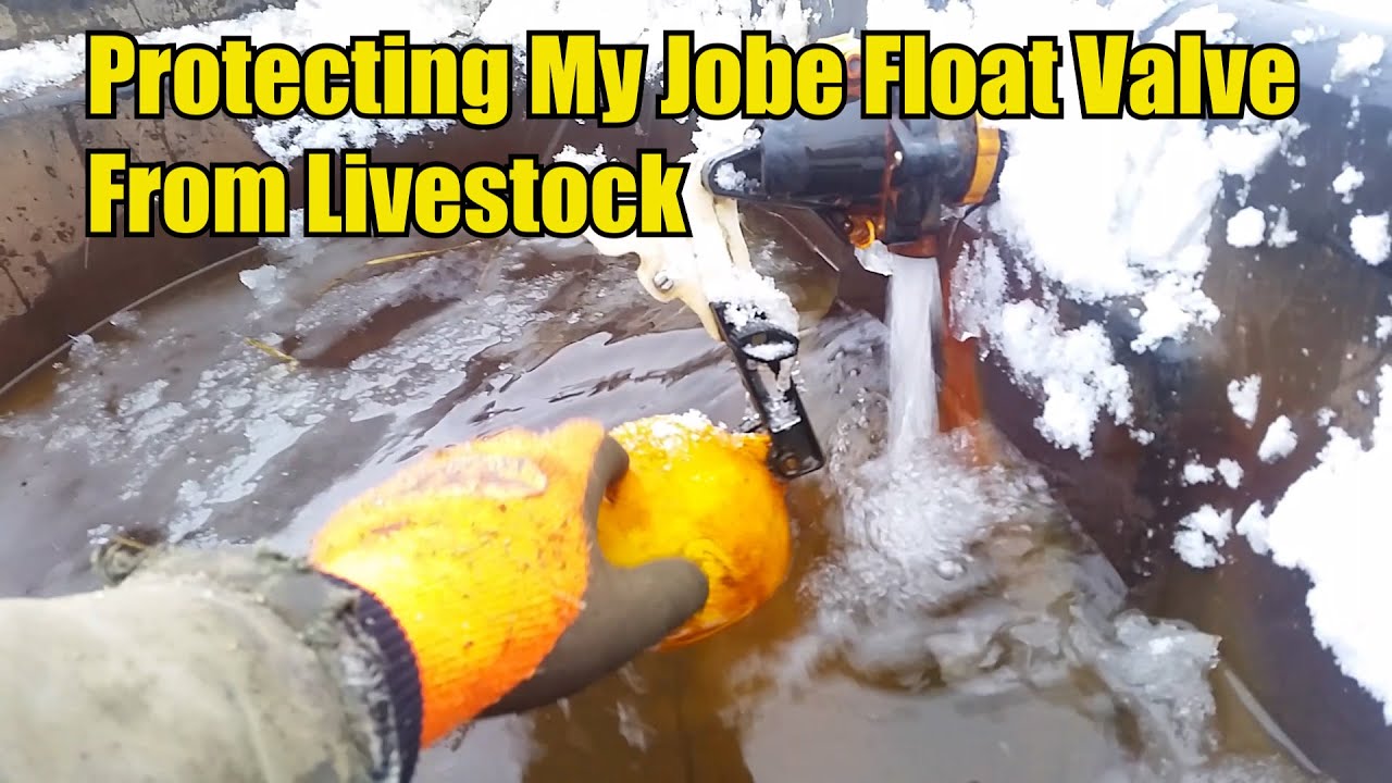 Protecting My Jobe Float Valve From Livestock