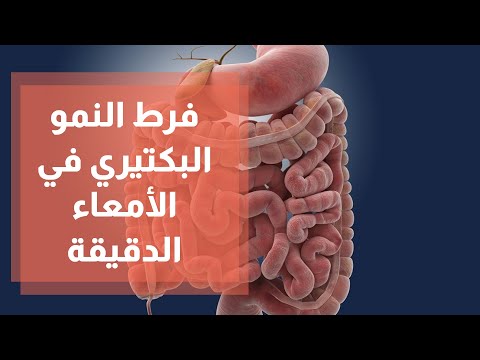 فيديو: بواسطة البكتيريا الموجودة في الأمعاء الغليظة؟