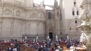 La Recogía: Viernes Santo en la Catedral