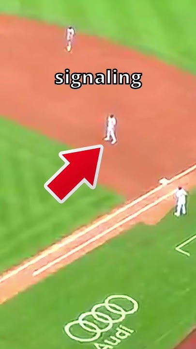 This is how the Yankees stole pitches from Max Scherzer - YouTube