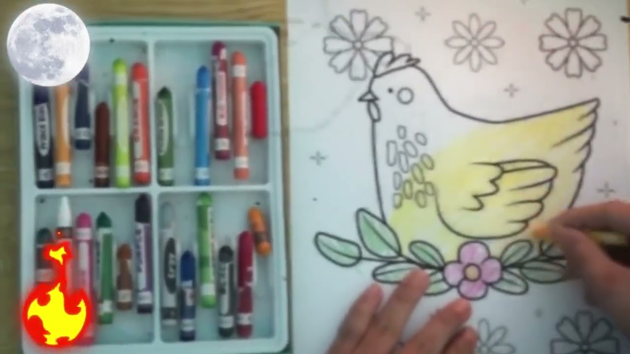 Simple Coloring Guide | Learn to Color Step by Step