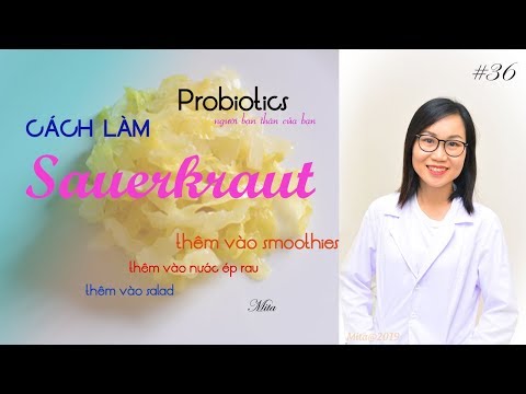 Video: Cách Lên Men Bắp Cải Nhanh Chóng