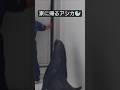 鴨川シーワールド🦈家に帰るアシカ🦭