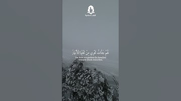 سورة المائدة الأية 119| محمد أيوب 🖤