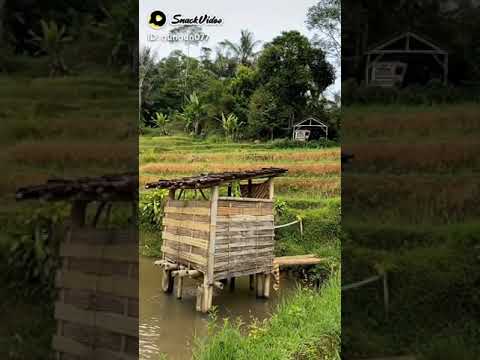 bangbara pop sunda
