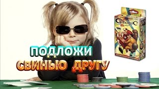 Карты Свинтус. Смотрите видео настольные игры для детей и взрослых Карты Свинтус. Смотрите видео настольные игры для детей и взрослых