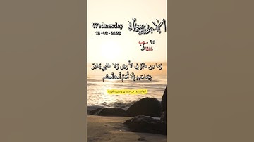 سورة الانعام - وما من دابة في الأرض ولا طائر يطير بجناحيه إلا أمم أمثالكم - تاريخ اليوم